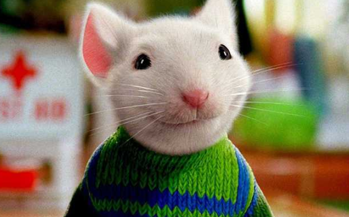 Filme do Cine Espetacular 29/12/2020 – Stuart Little 2