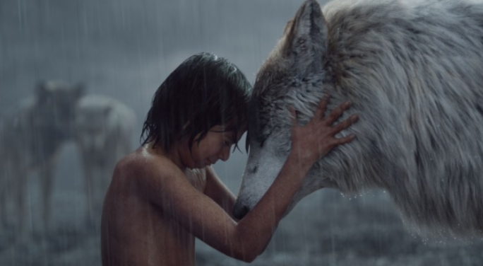 Filme da Temperatura Máxima 09/02/2020 – Mogli – O Menino Lobo