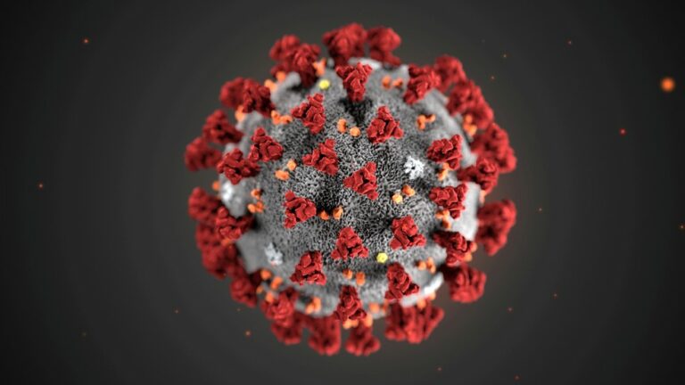 Cientistas produzem coquetel que elimina coronavírus em pacientes