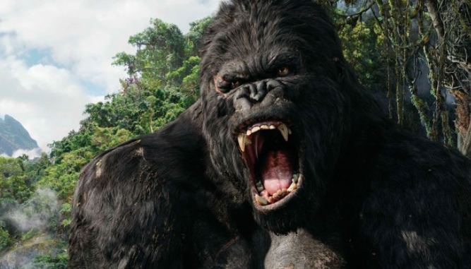 Filme do Campeões de Bilheteria 26/12/2021 – King Kong