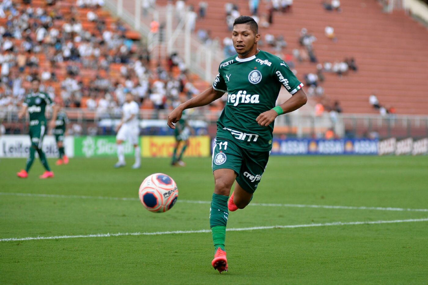 Palmeiras