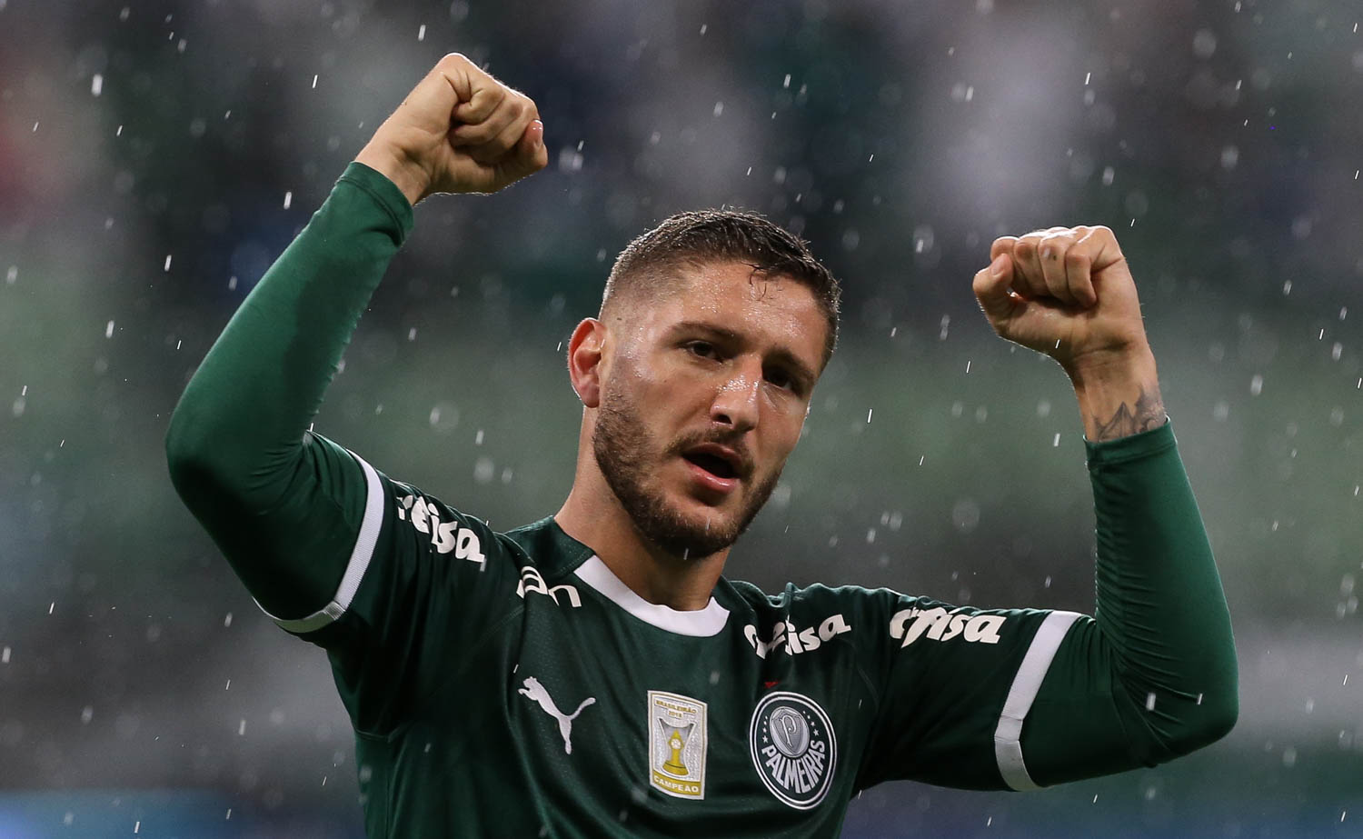 Palmeiras