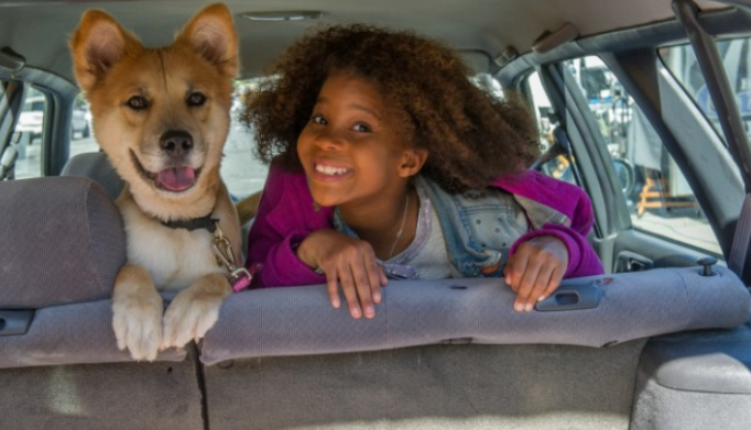 Filme da Sessão da Tarde 21/12/2020 – Annie