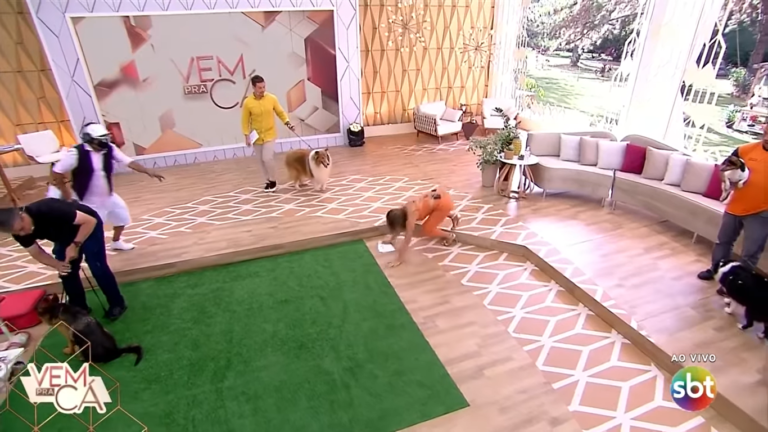 SBT promove mudança no Vem Pra Cá após tombo de Patricia Abravanel