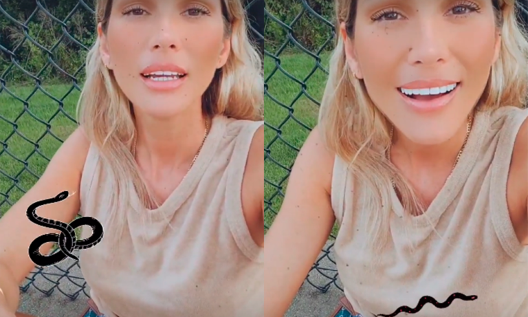 Lívia Andrade tem casa invadida por cobra e detalha susto: “Cuidado”
