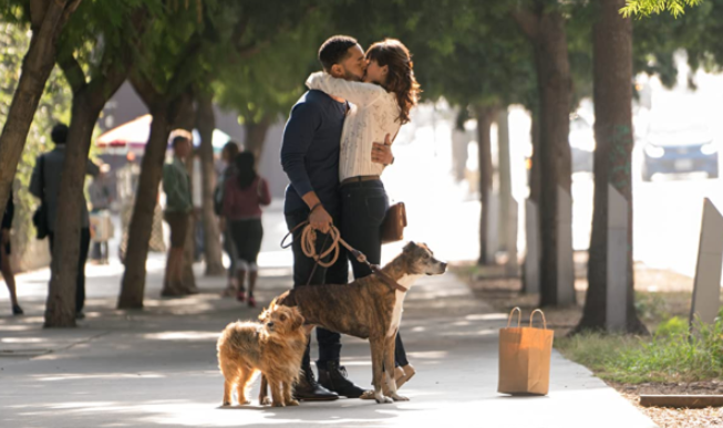 Filme Nossa Vida Com Cães