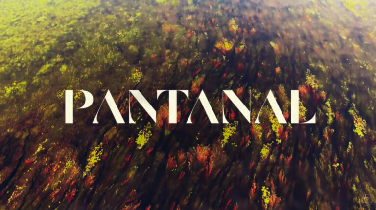 Novela Pantanal: Resumo Semanal de 04/04/2022 a 09/04/2022