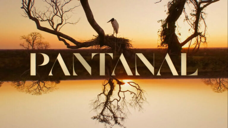 Novela Pantanal: Resumo do capítulo dia 31/03/2022
