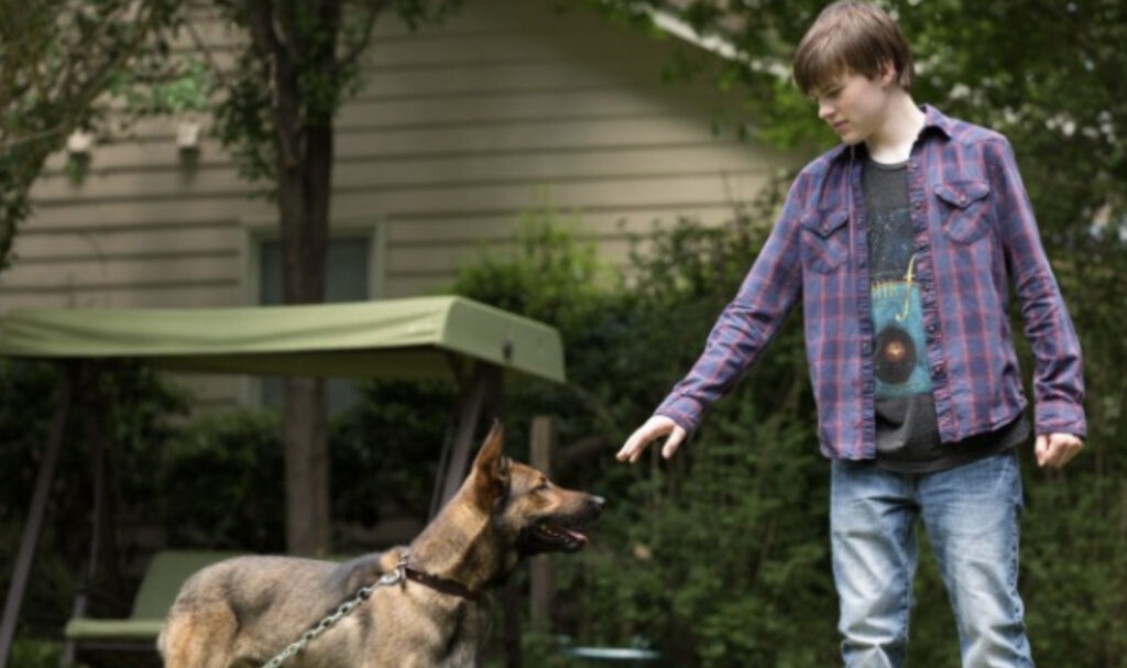 Filme Max o Cão Herói