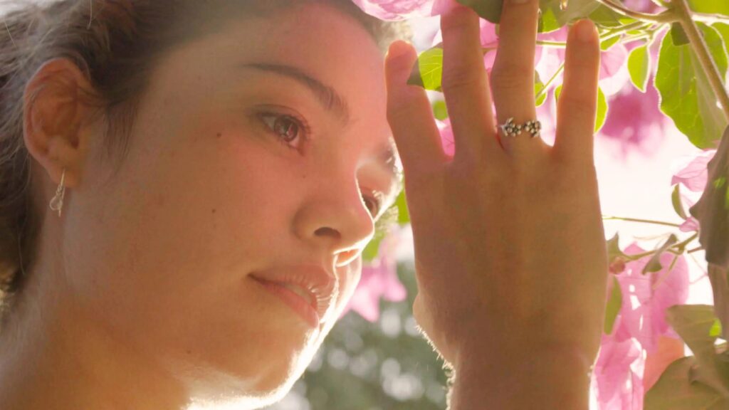 Novela Todas as Flores