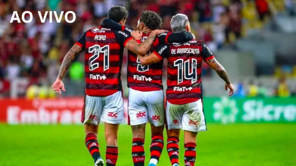 Jogo do Flamengo ao vivo na TV