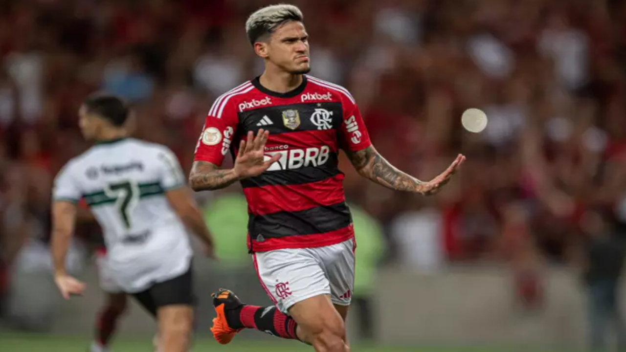 Flamengo Pedro