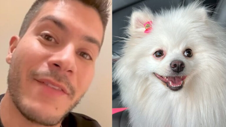 Arthur Aguiar escolhe nome de rival no BBB22 para sua nova cachorrinha