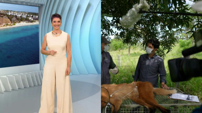 Globo Repórter 02/06/2023 – Humanos e animais silvestres