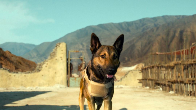 Max: O Cão Herói – Vale a pena assistir o filme?
