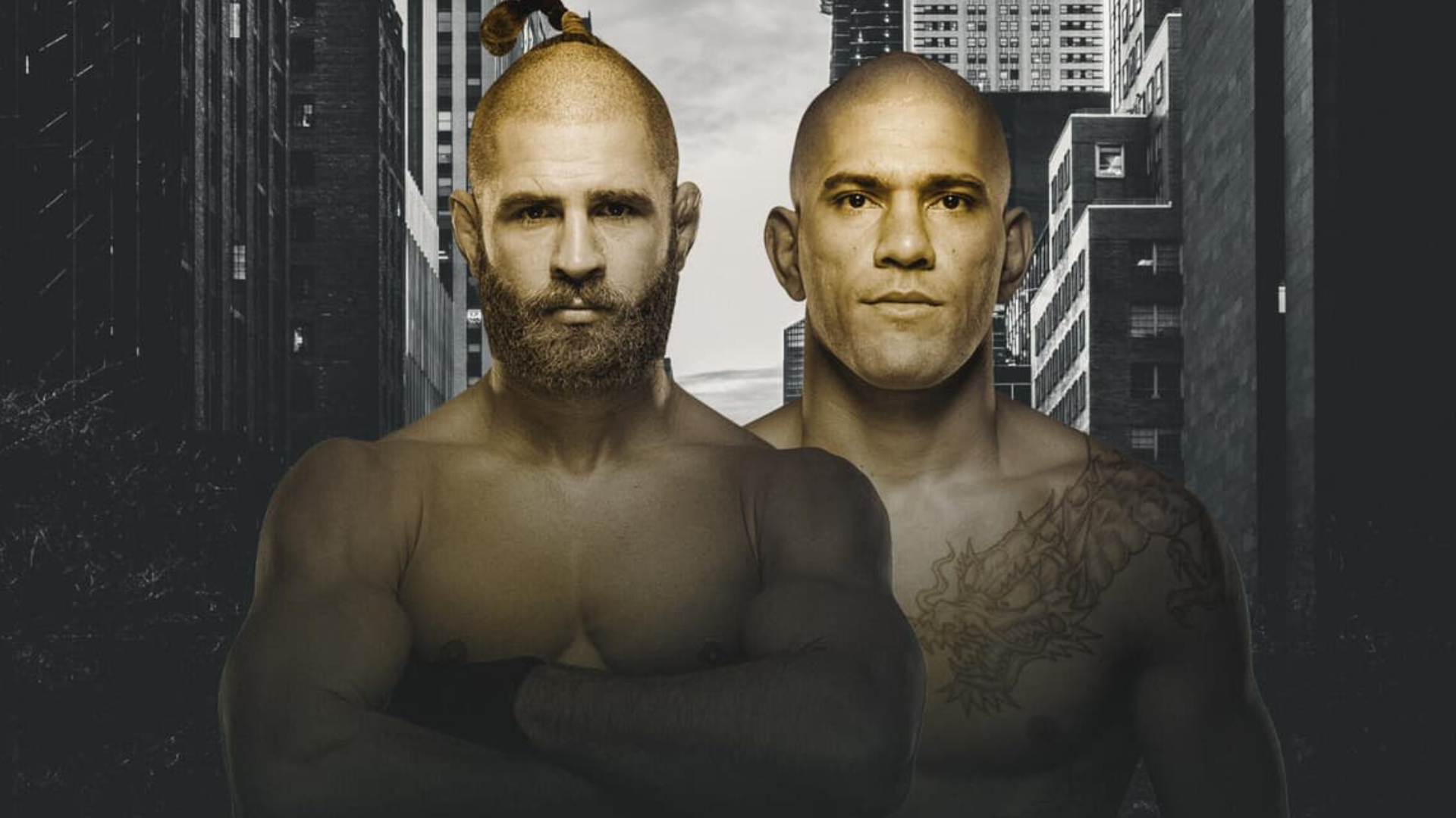 UFC 265