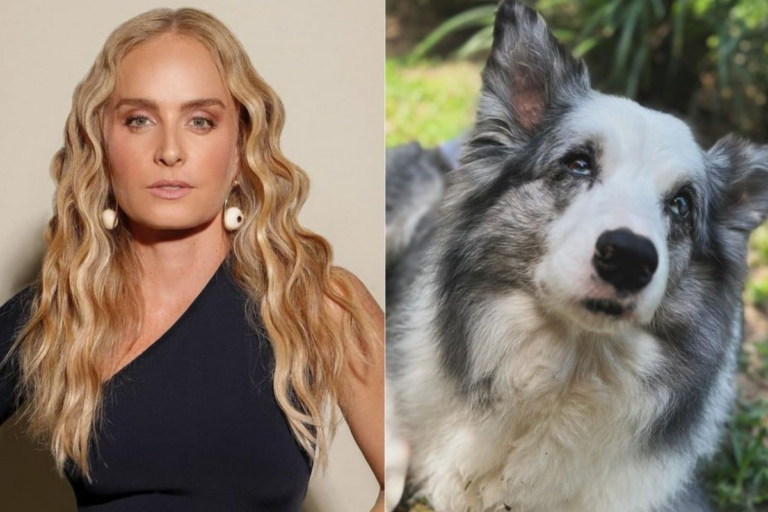 Após morte de cachorra, Angélica sofre e faz um desabafo: ‘Lutou muito e não queria partir’