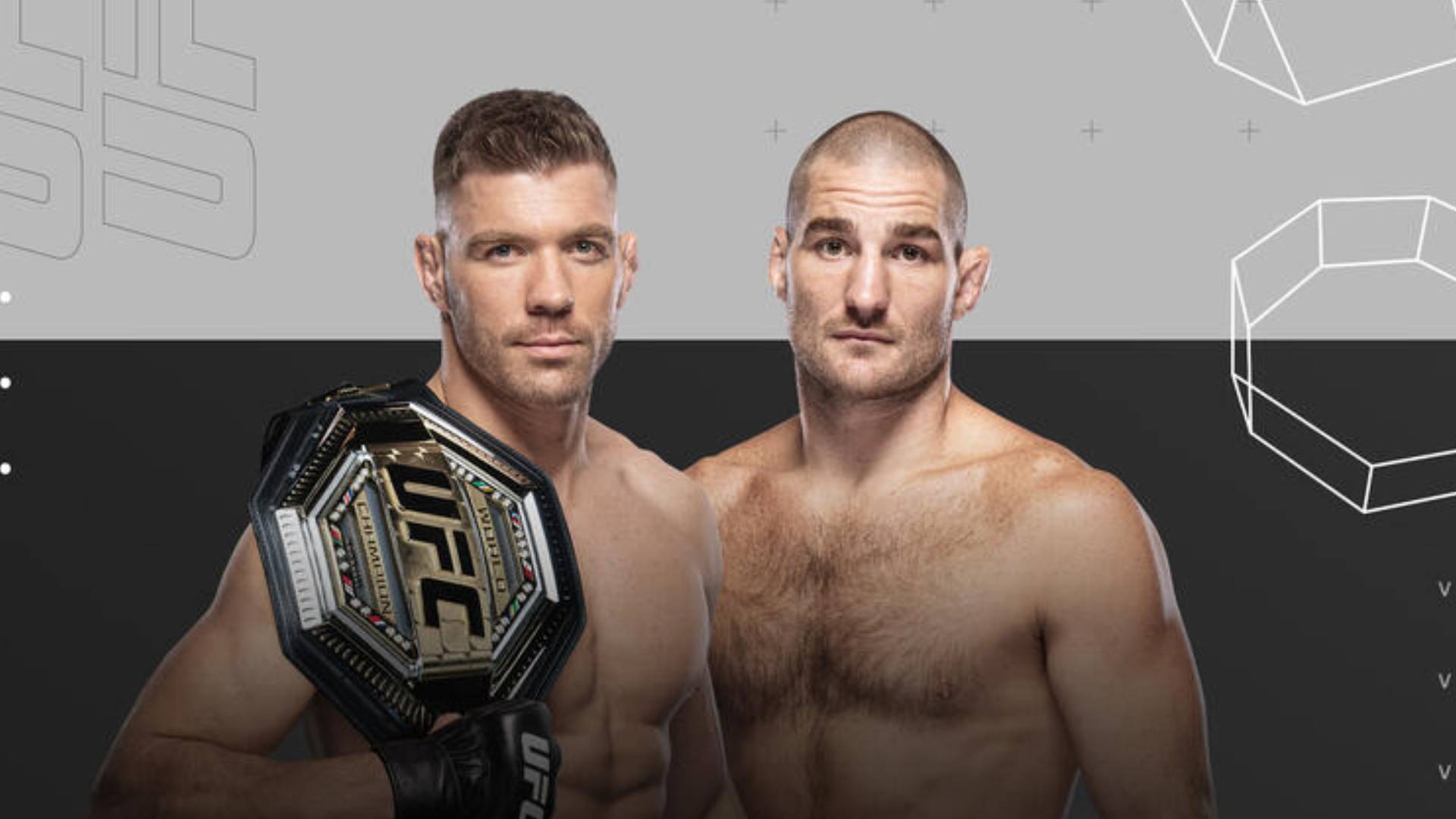UFC 312
