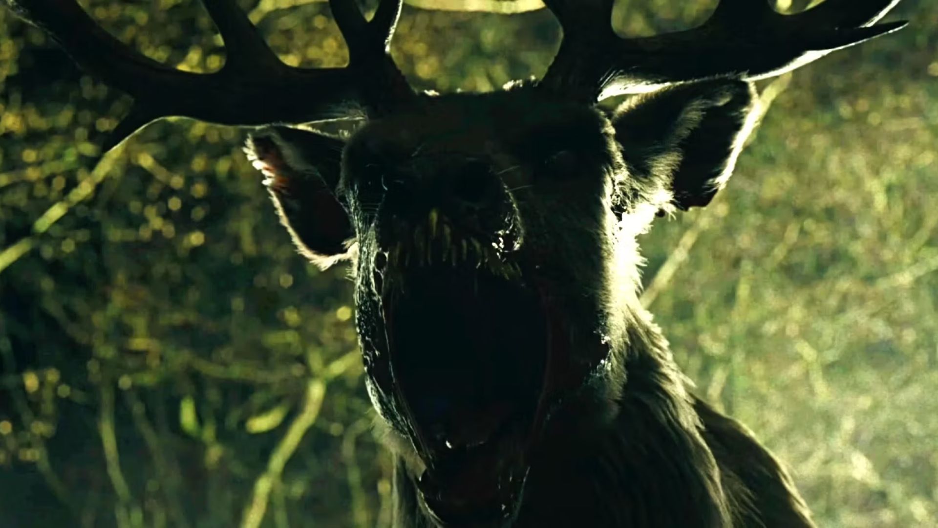 Bambi: The Reckoning tem trailer divulgado