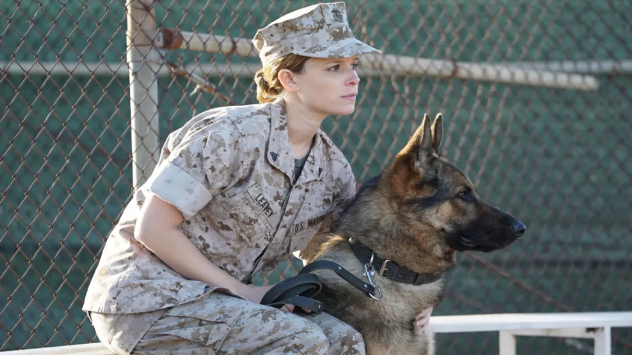 Filme Megan Leavey