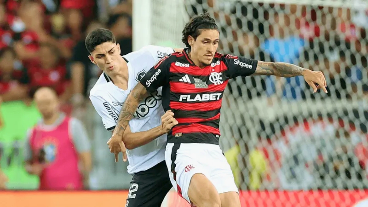 Botafogo x Flamengo ao vivo