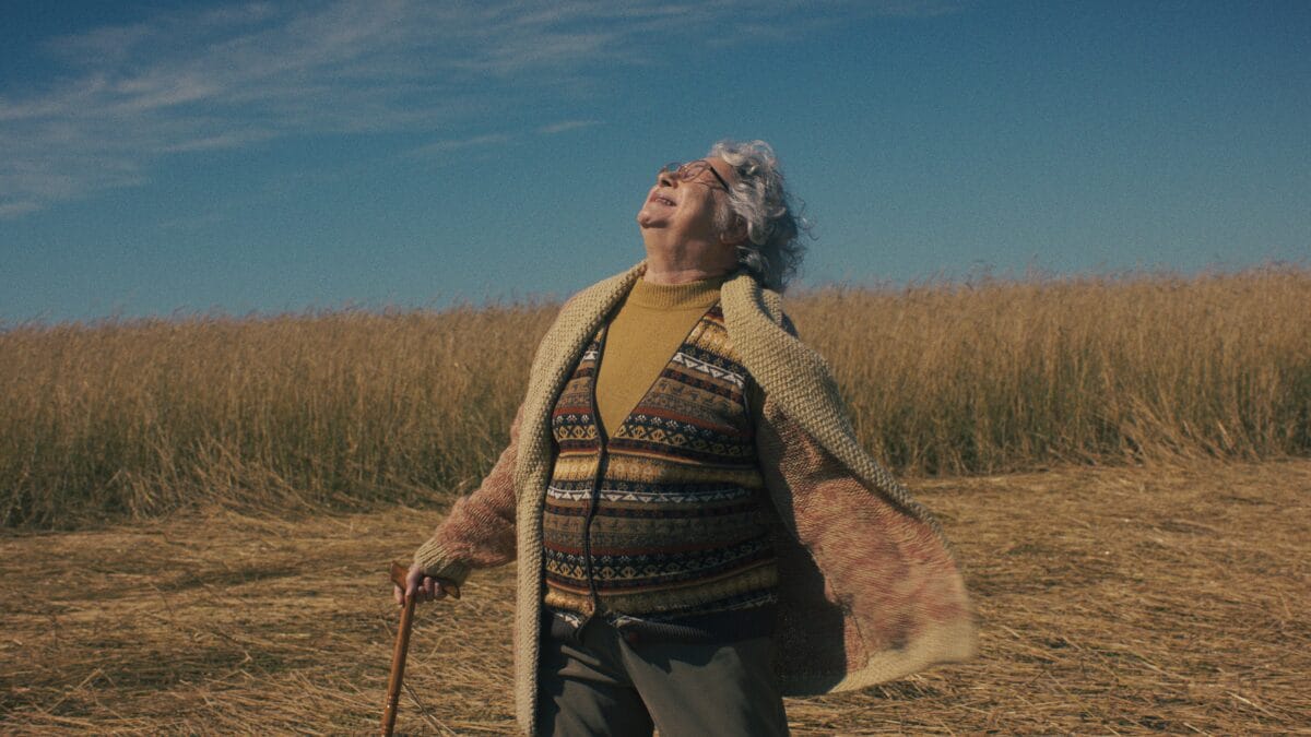 Filme Um Dia Extraordinário