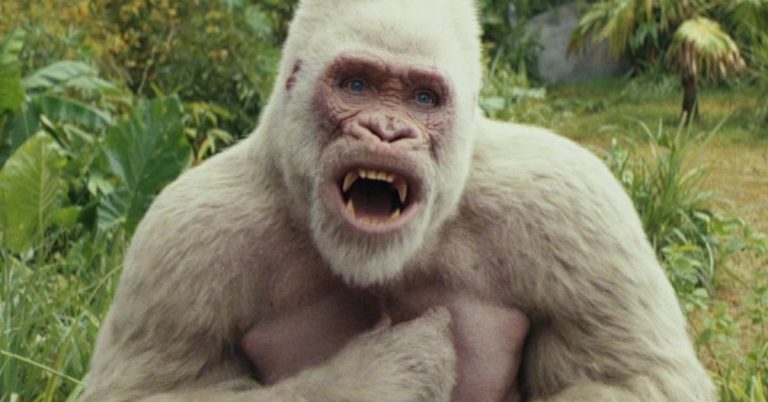 ‘Rampage: Destruição Total’ na Temperatura Máxima de hoje (15/02): Saiba curiosidades