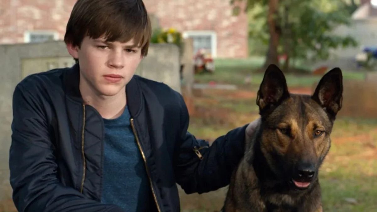 Filme Max O Cão Herói