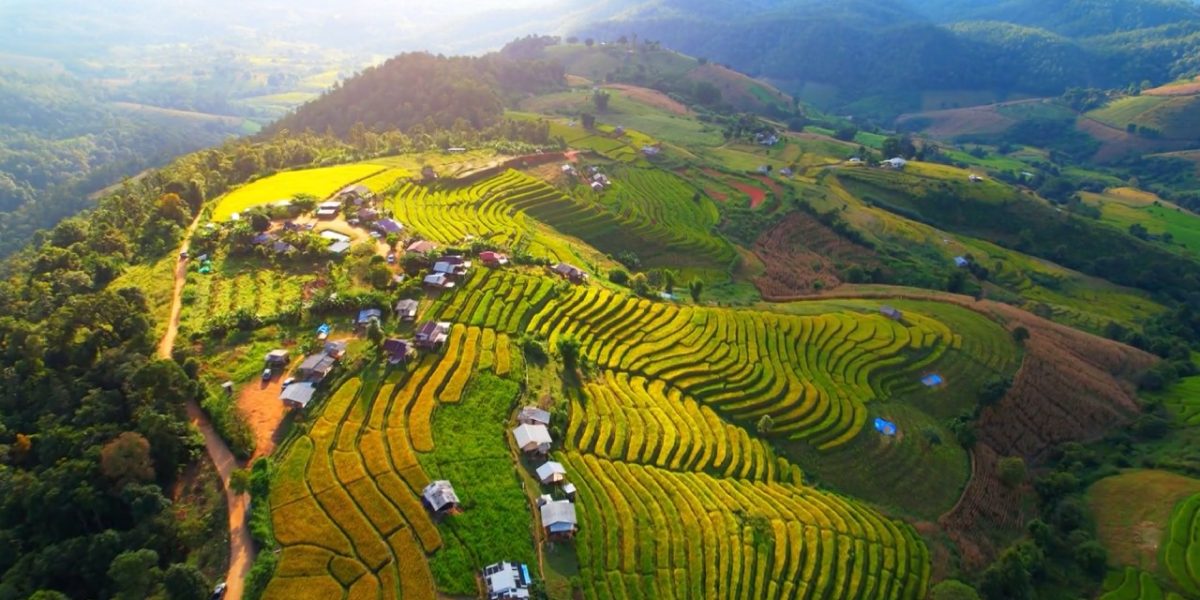 Indochina vietnamita no Globo Repórter
